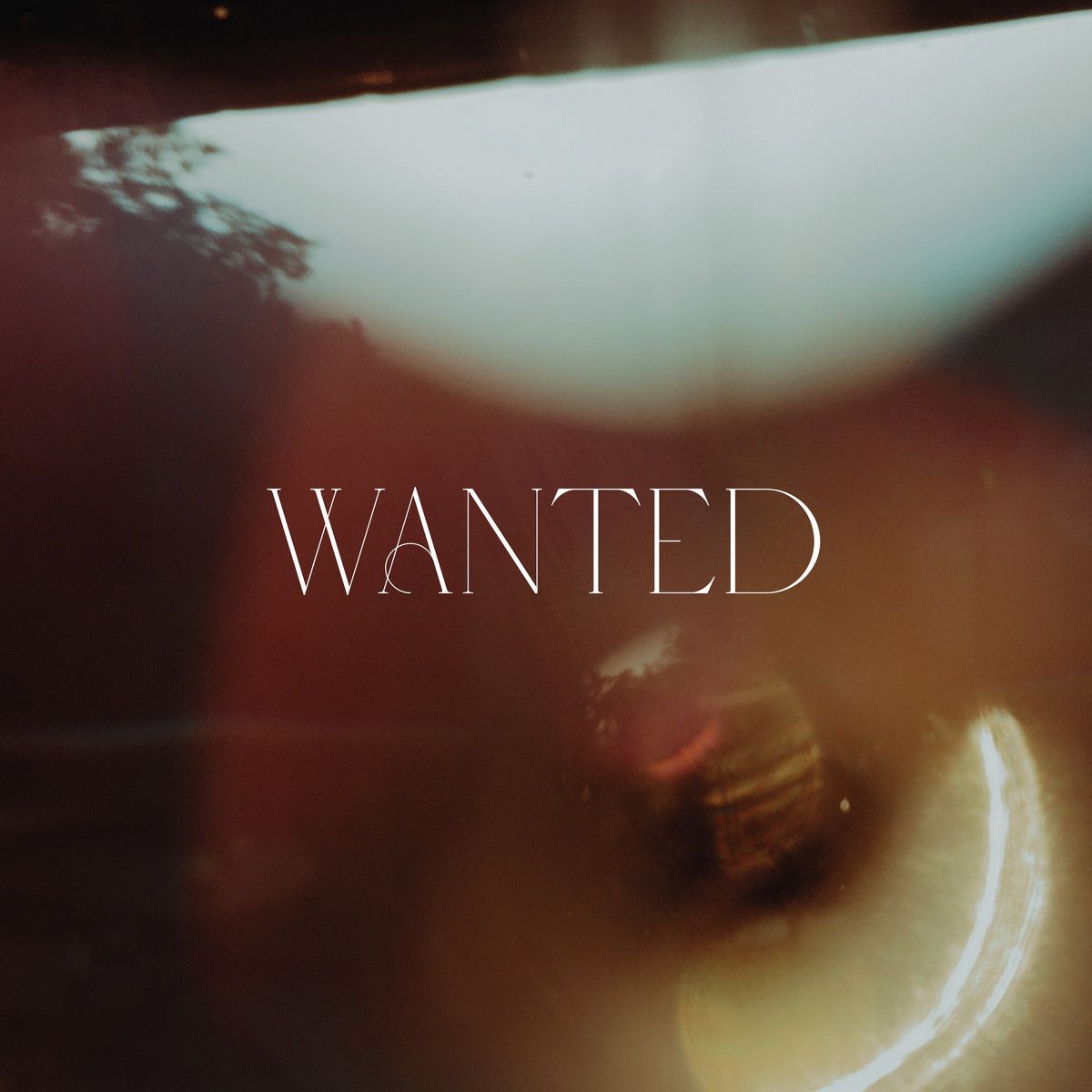 Wamted -download 