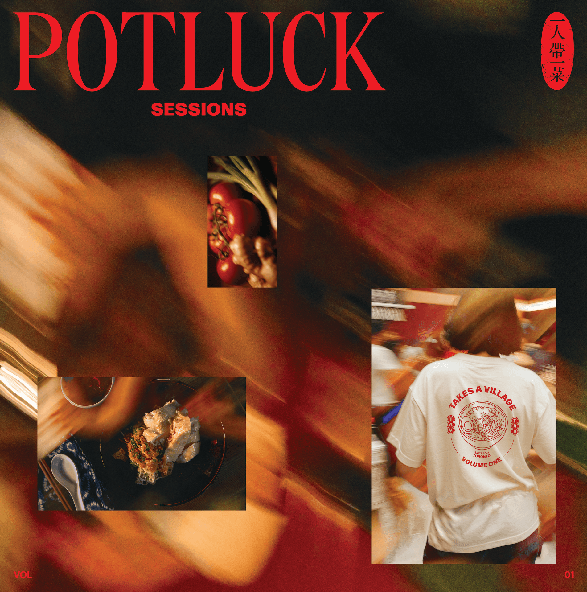 "Potluck Sessions, Vol. 1" Vinyl Record